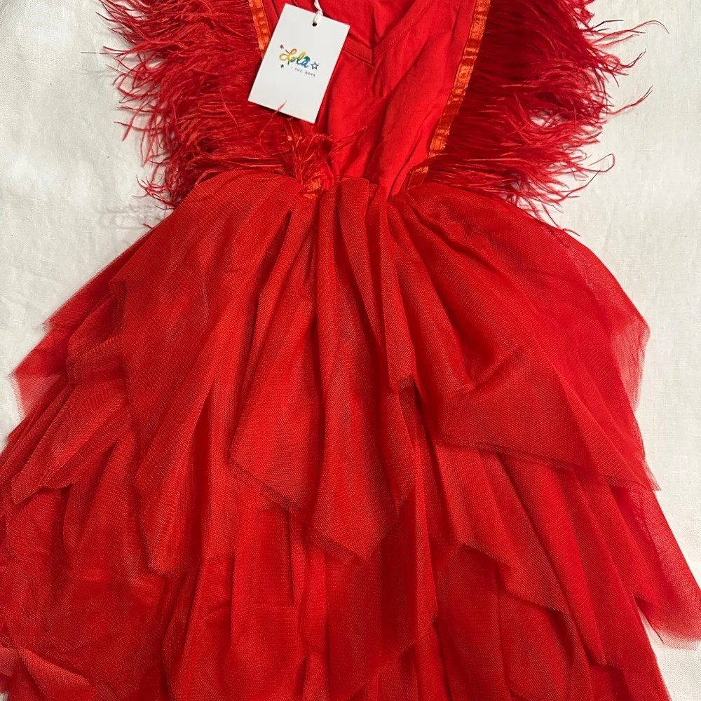 Elegant Red Feathered Kids Dress - Picture 4 of 4